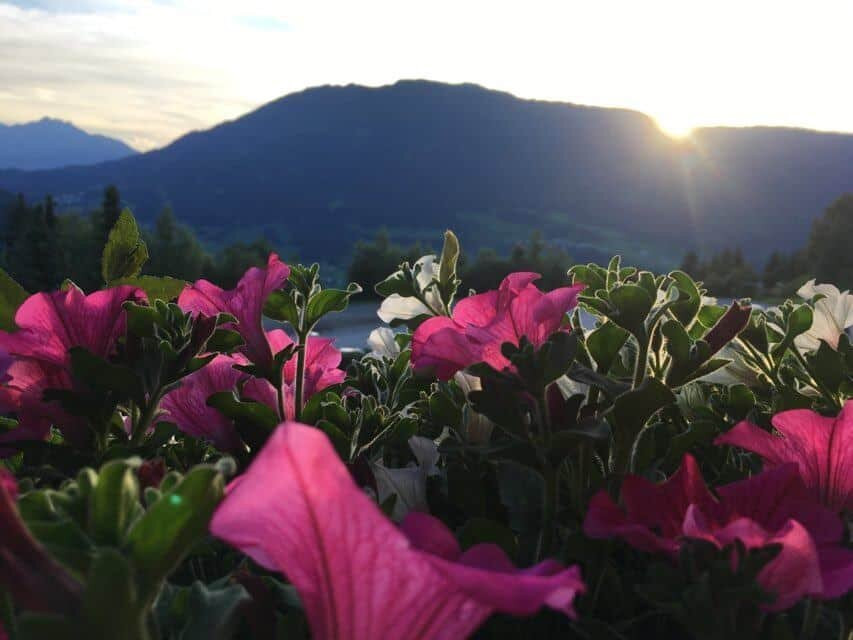 Hotel Venetblick主图