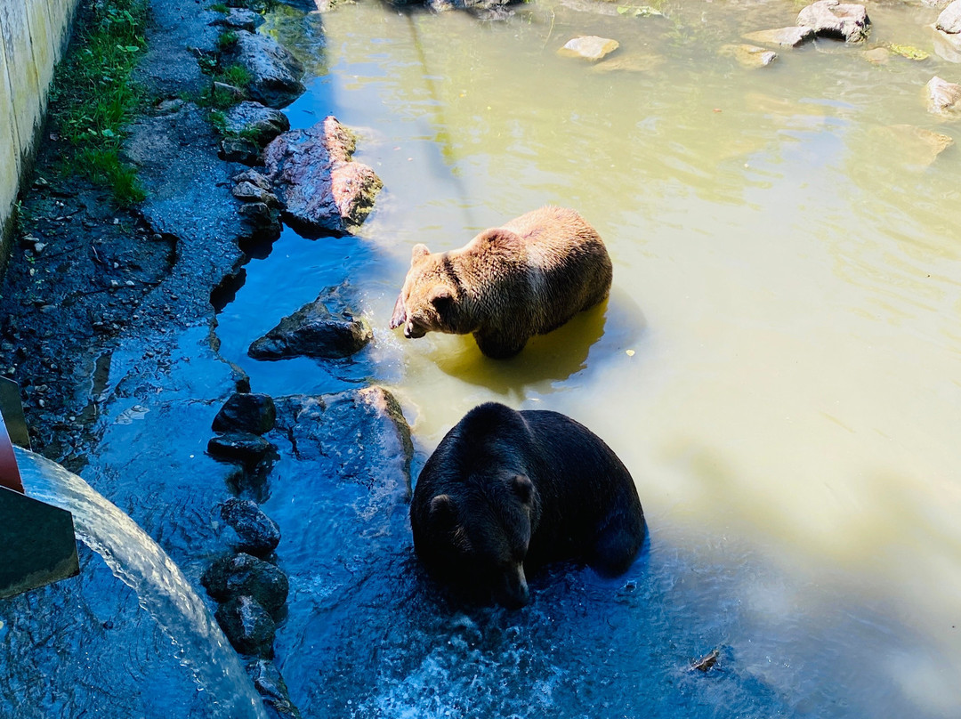 Tierpark Stadt Haag景点图片