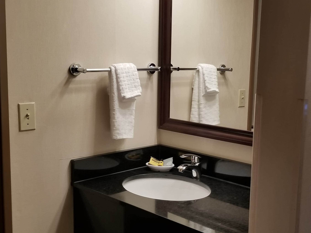 Best Western Plus City Center主图