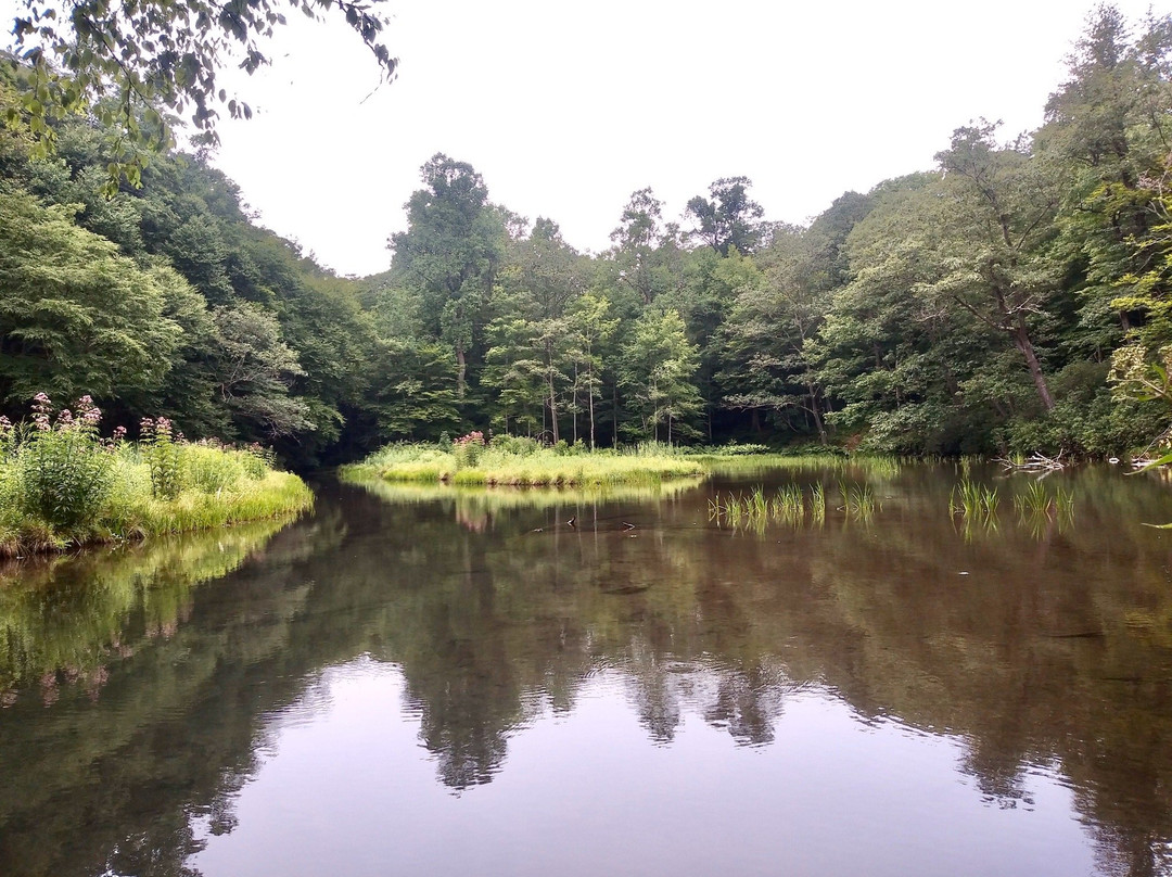 Laurel Hill State Park景点图片