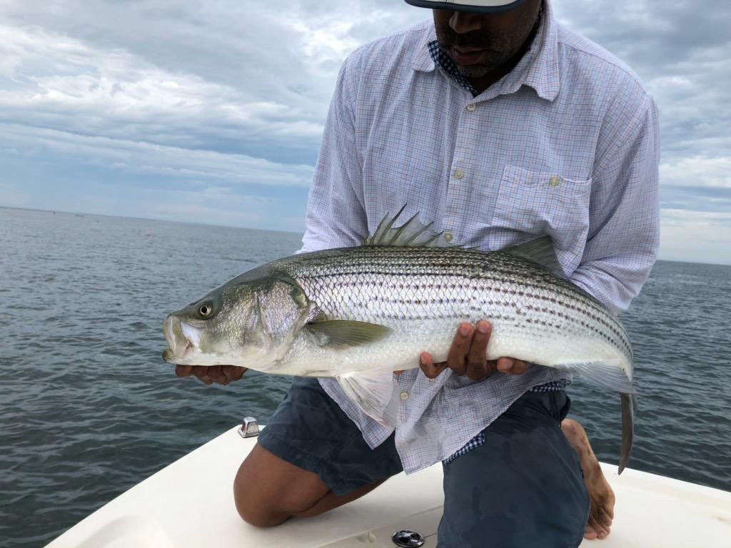 Greasy Beaks Fly Fishing and Boston Fly Fishing-South Hamilton必去景点