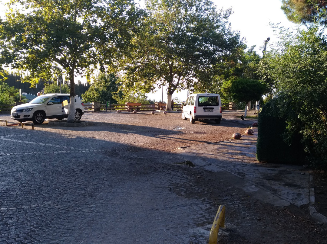 Altinoluk Merkez Parki景点图片