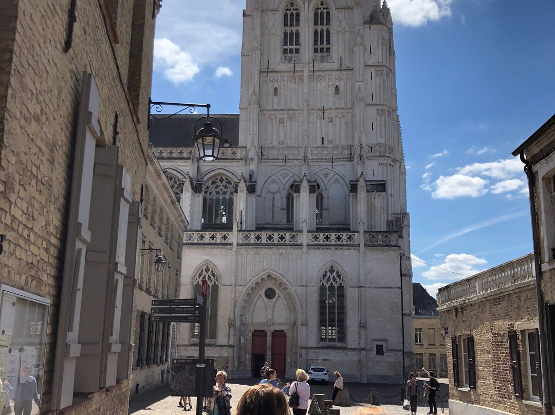 Saint-Omer Cathedrale景点图片