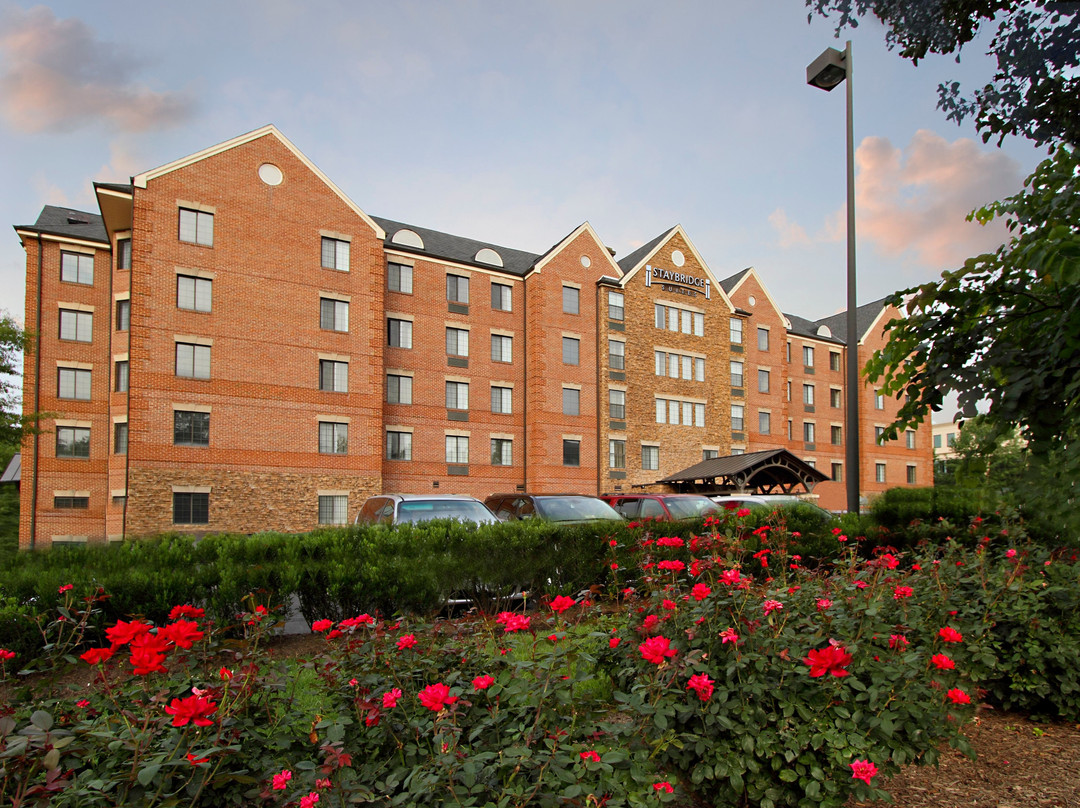 Staybridge Suites Tysons - Mclean By IHG主图