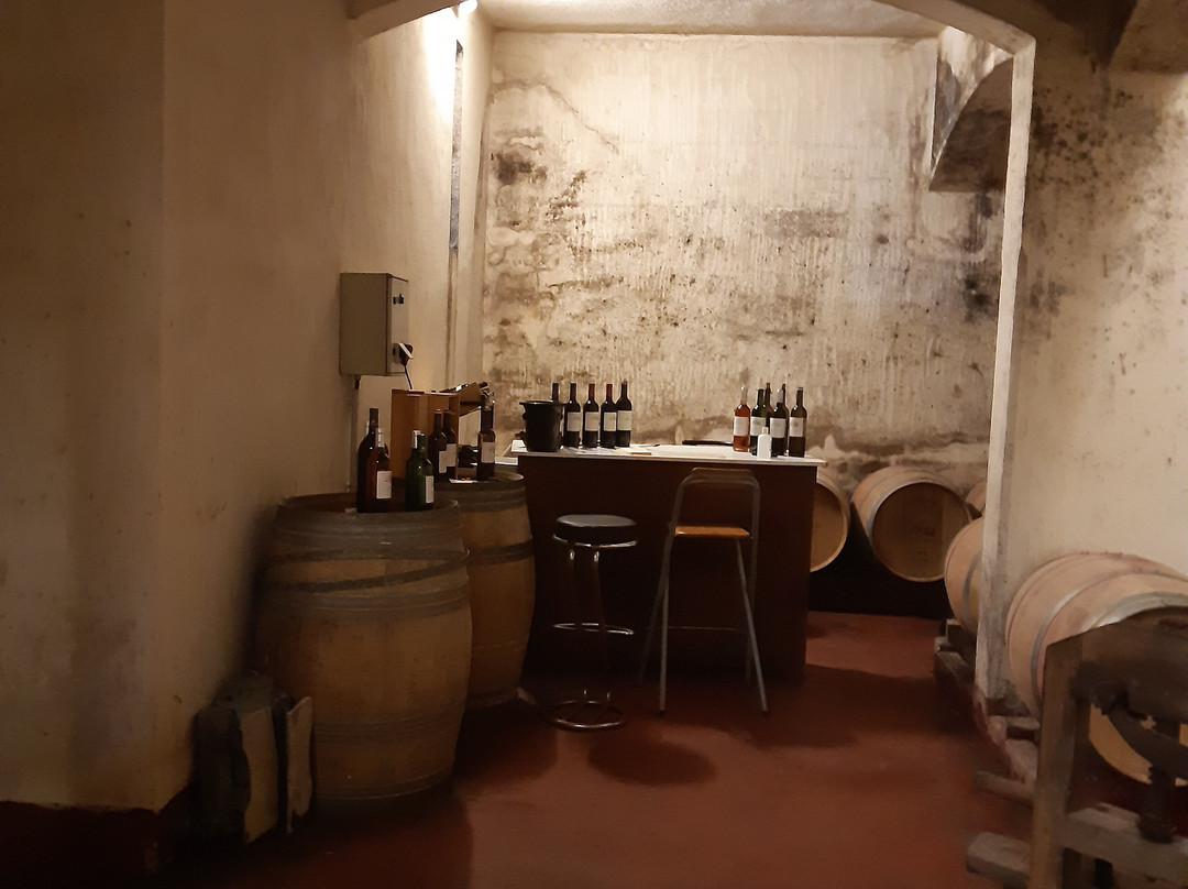 CHÂTEAU LA TUILERIE DU PUY景点图片