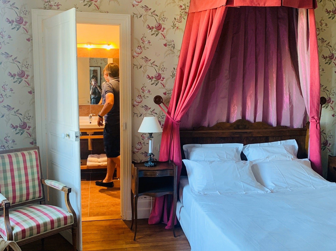 Chambres d'Hotes Le Chateau de la Plante主图