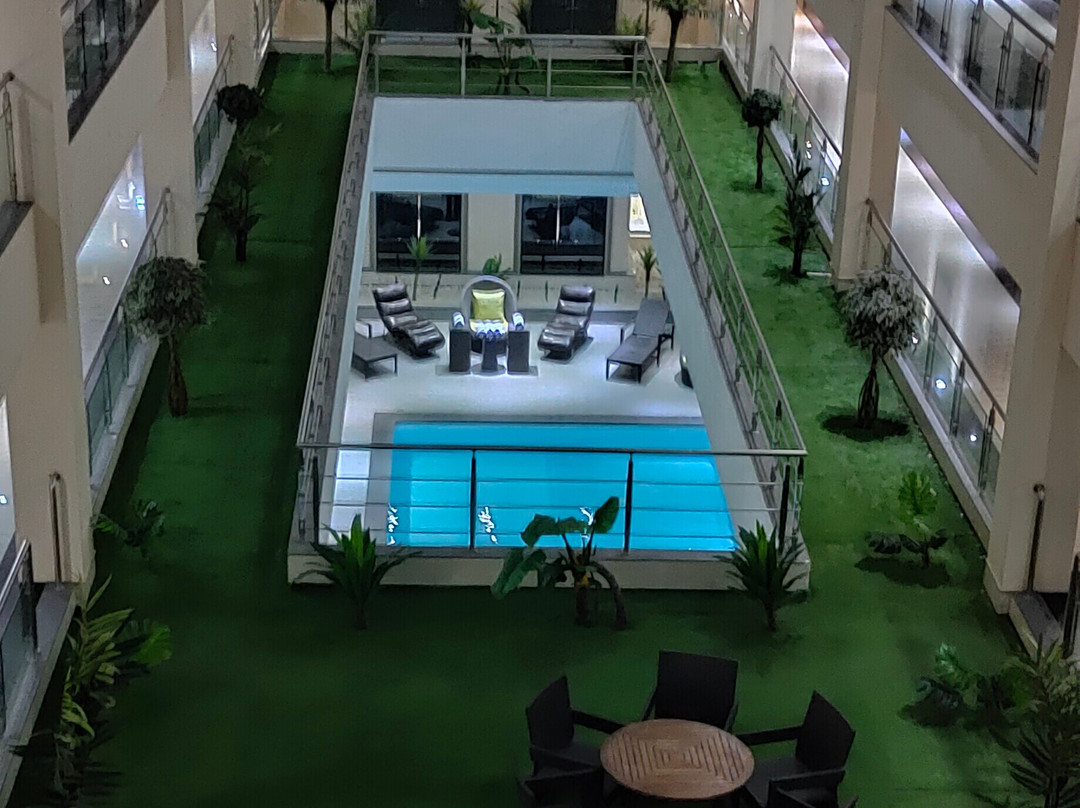 The Radiant Swan主图