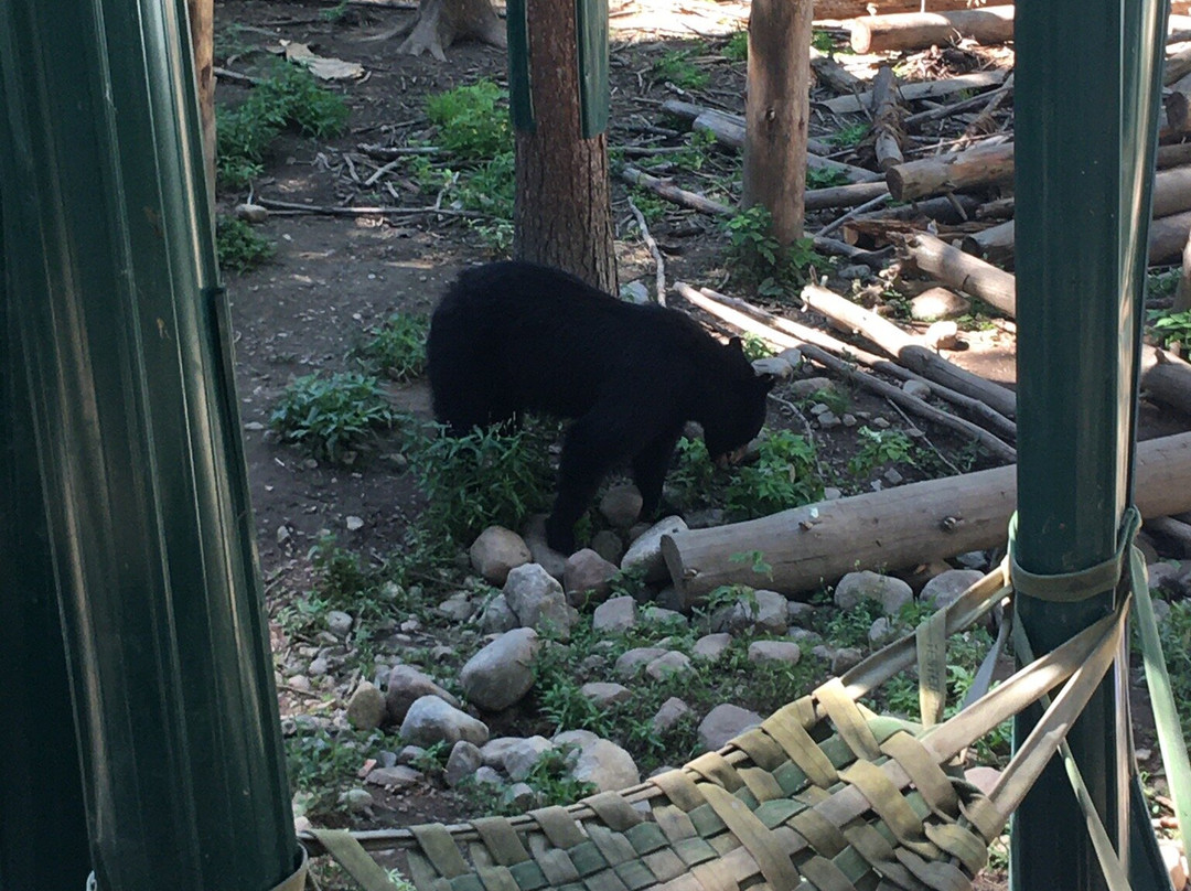 Adirondack Wildlife Refuge-Wilmington必去景点