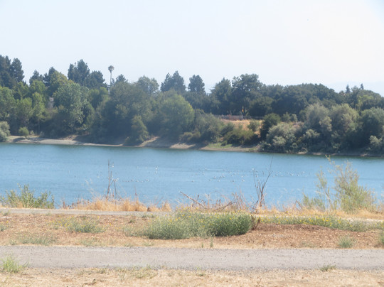 Quarry Lakes Regional Recreation Area-费利蒙必去景点