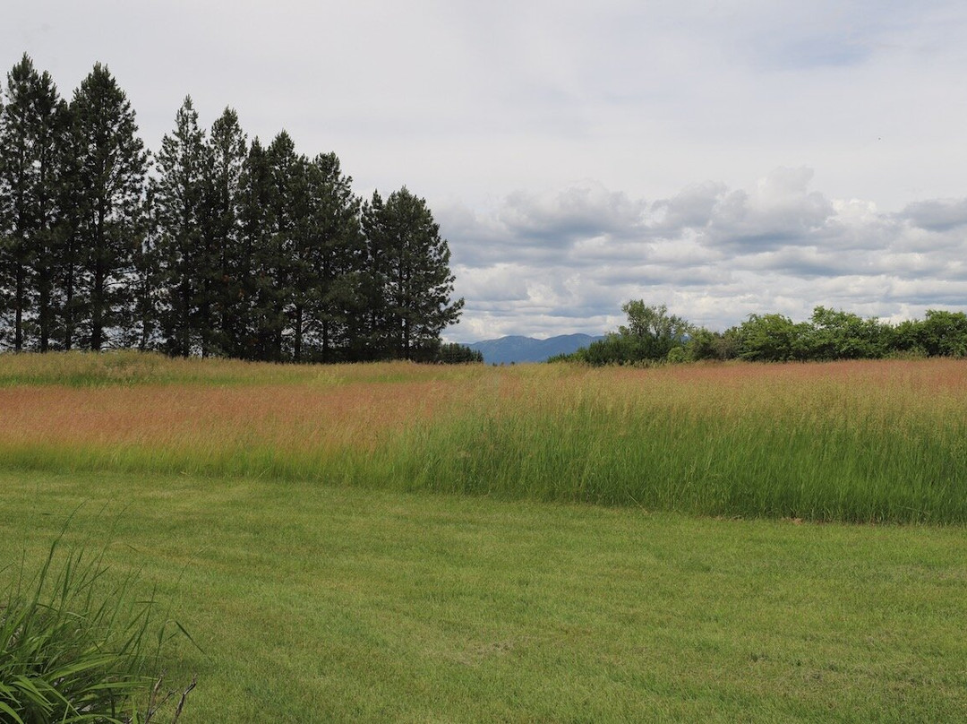Bad Rock Bed and Breakfast主图