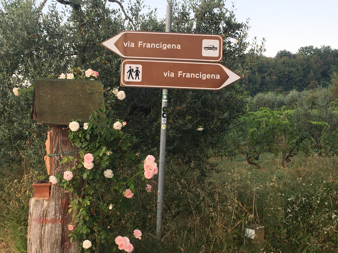 Podere San Luigi主图