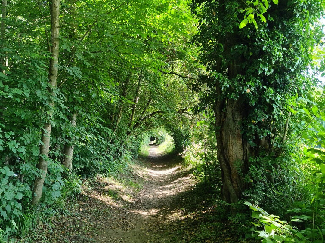 Sentier De La Lône D'en L'île景点图片