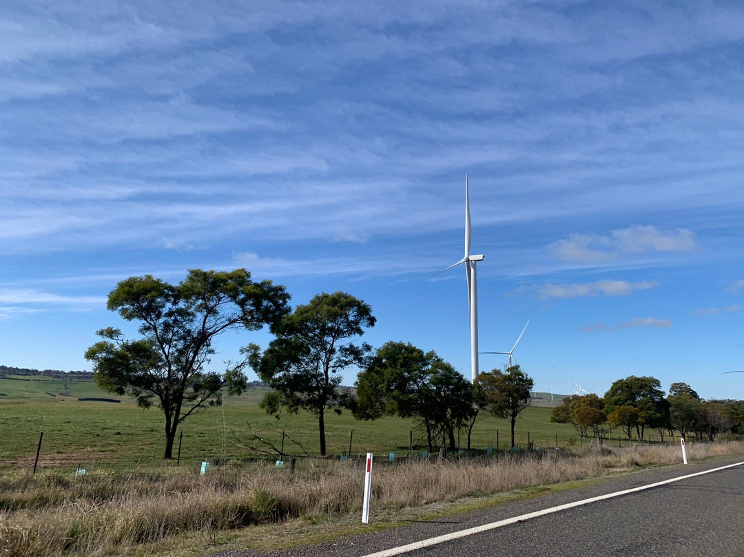 Crookwell Wind Farm-Crookwell必去景点