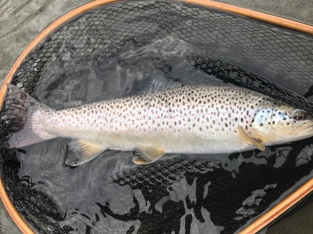 Clem'Emotions Pêche - Moniteur Guide de Pêche en Hautes-Pyrénées景点图片