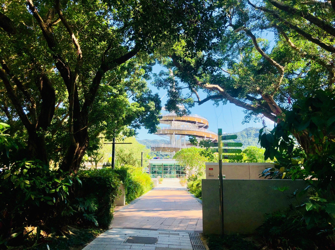 大埔海滨公园-香港必去景点