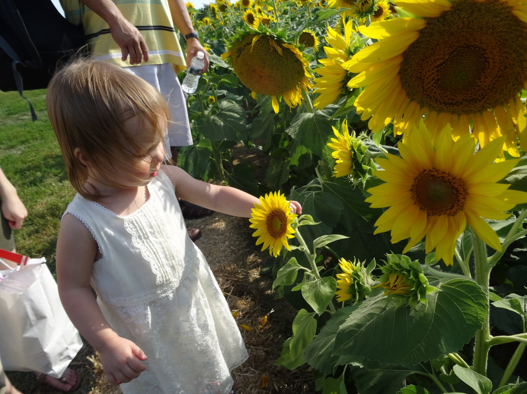 Evans Orchard & Cider Mill-Georgetown必去景点