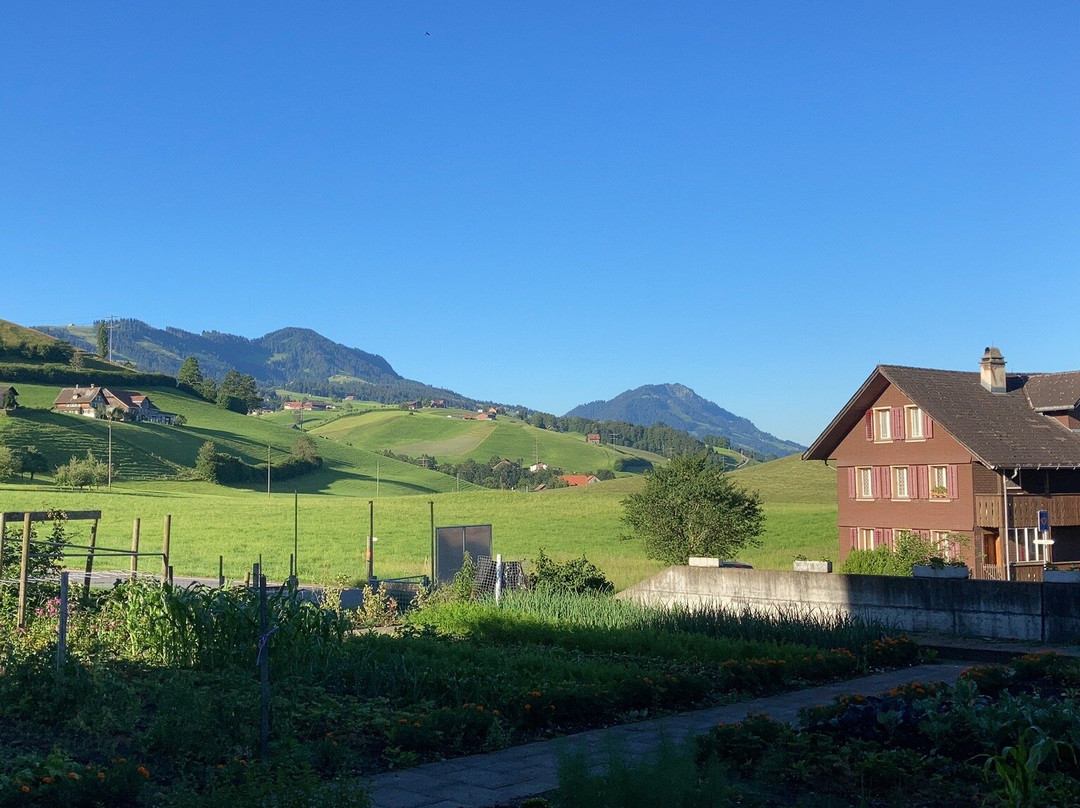 Schafbuur