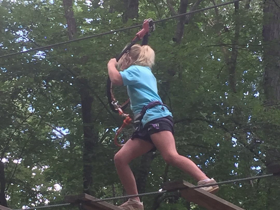 Carolina Treetop Challenge景点图片