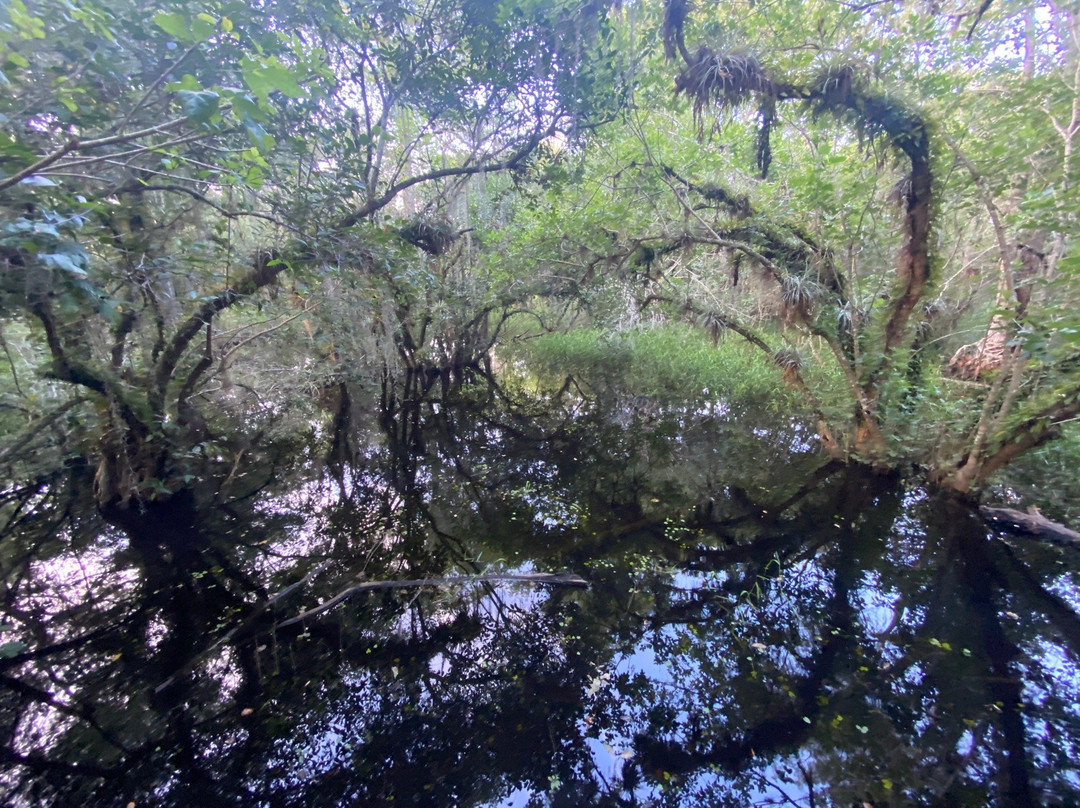 Kirby Storter Roadside Park-奥乔皮必去景点