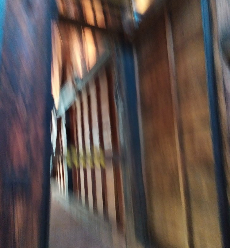 Museo de la Mina de Arnao景点图片