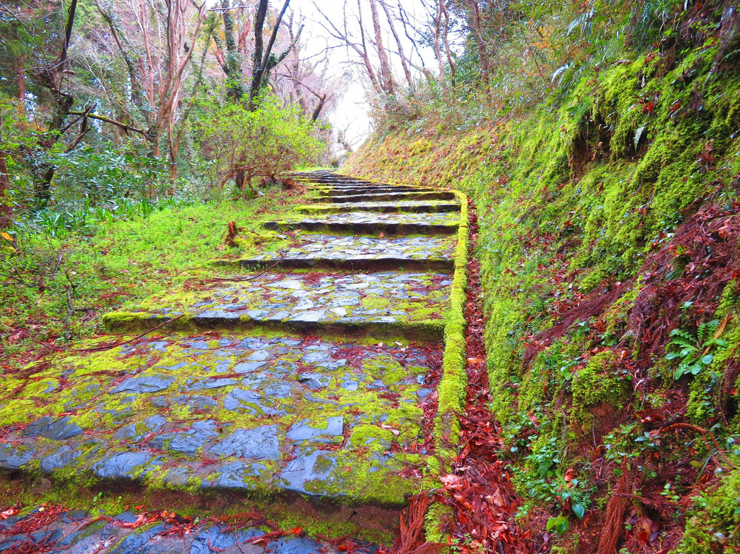 Gassan Toda castle-安来市必去景点