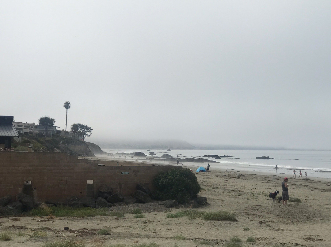 Cayucos State Beach景点图片