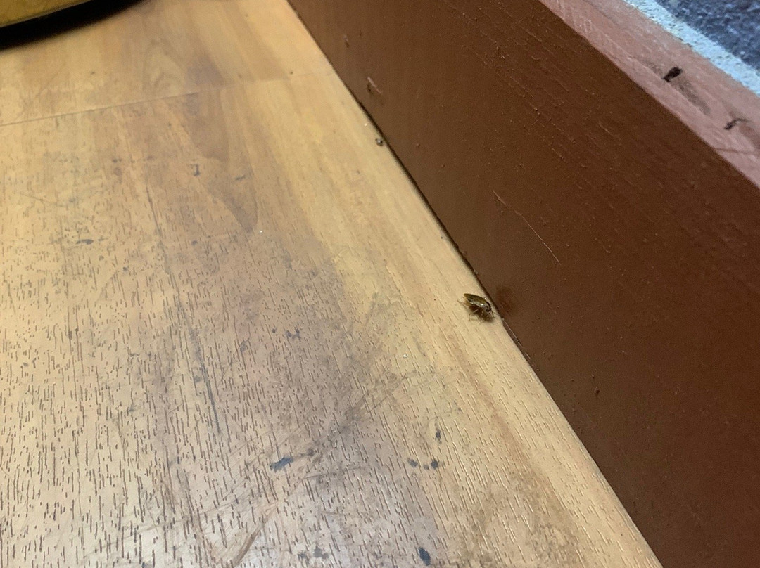 Days Inn by Wyndham Byron主图