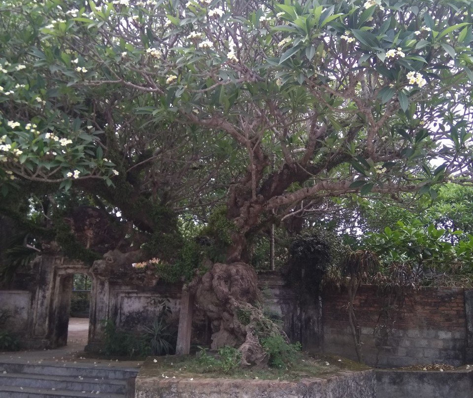 Ly Thuong Kiet Temple景点图片