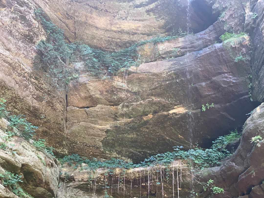 Starved Rock River Adventures-渥太华必去景点