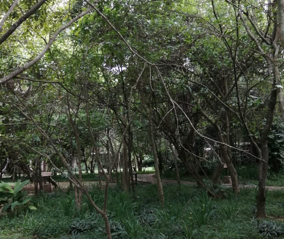 茶花酒店及水疗中心主图