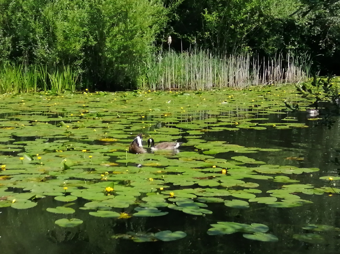 Sevenoaks Wildlife Reserve-Sevenoaks必去景点
