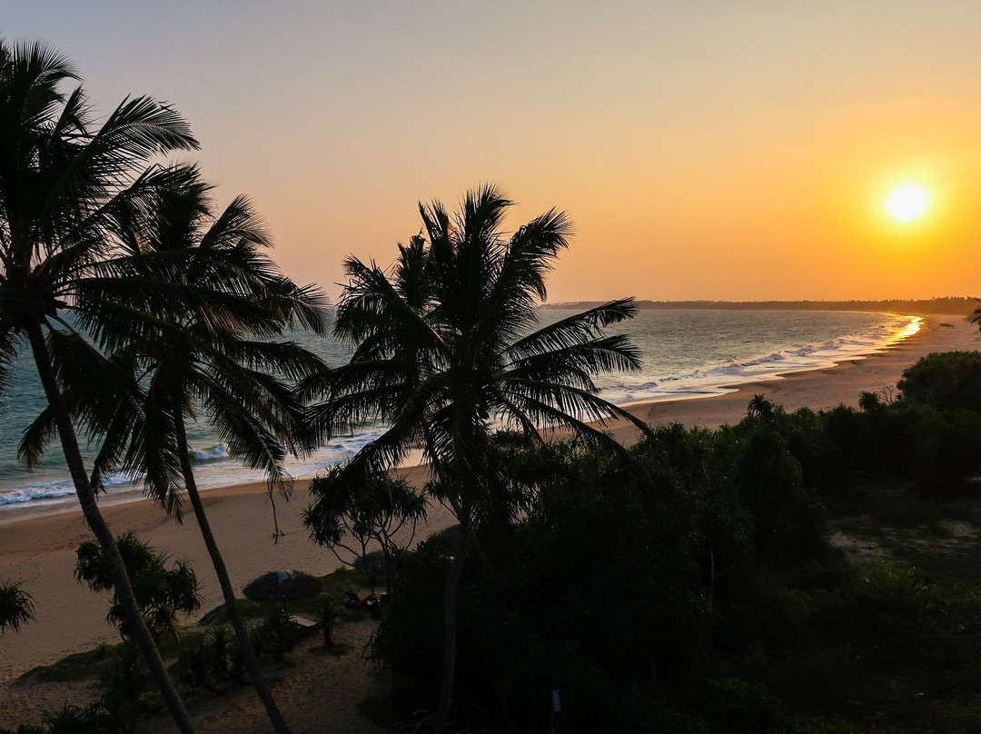 Ceylon Walkers景点图片