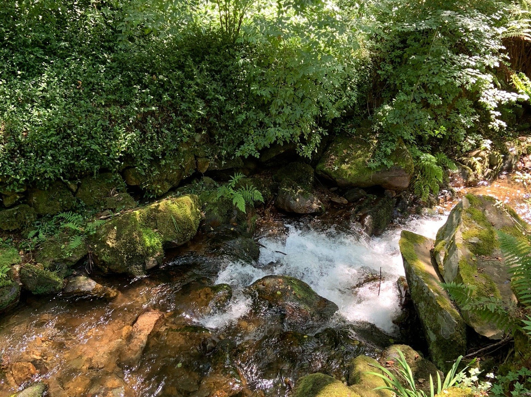 Cascata da Cabreia景点图片