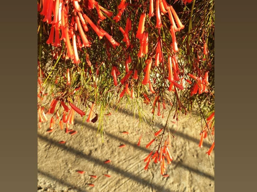 B&B Brezza Marina主图