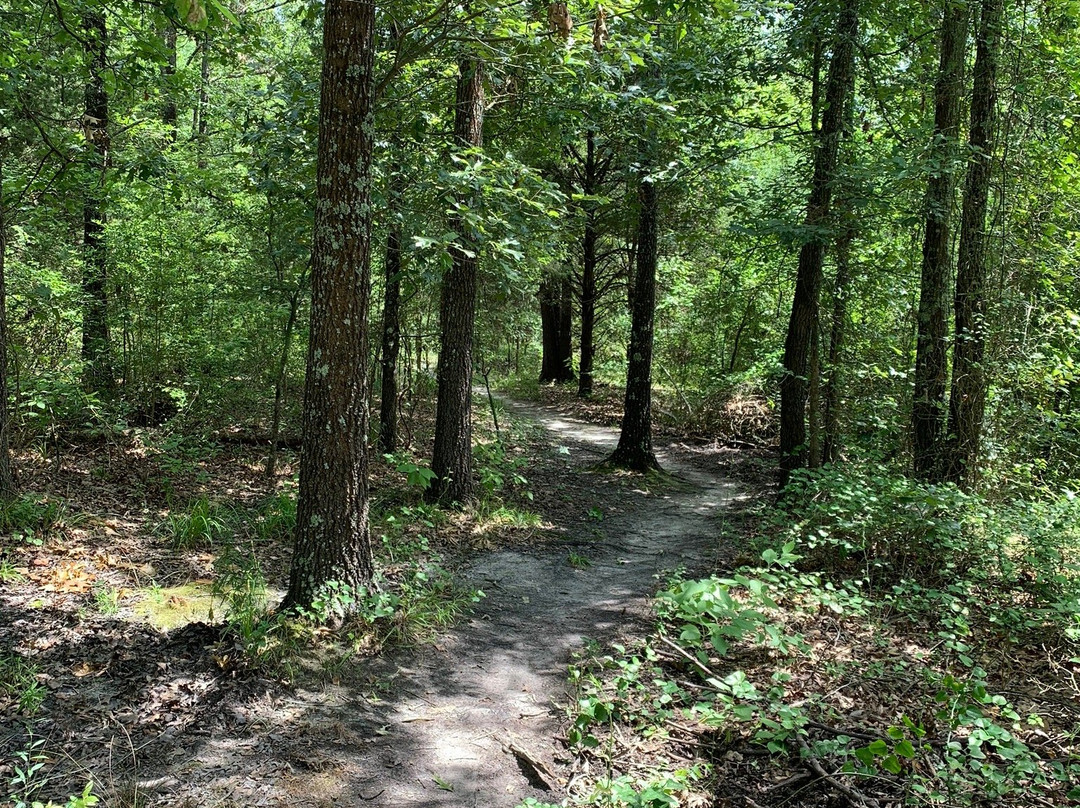 East Texas Arboretum-Athens必去景点