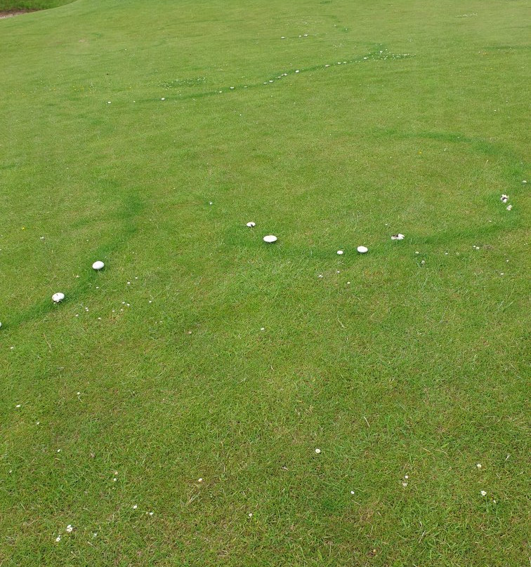 Rowallan Golf Course景点图片