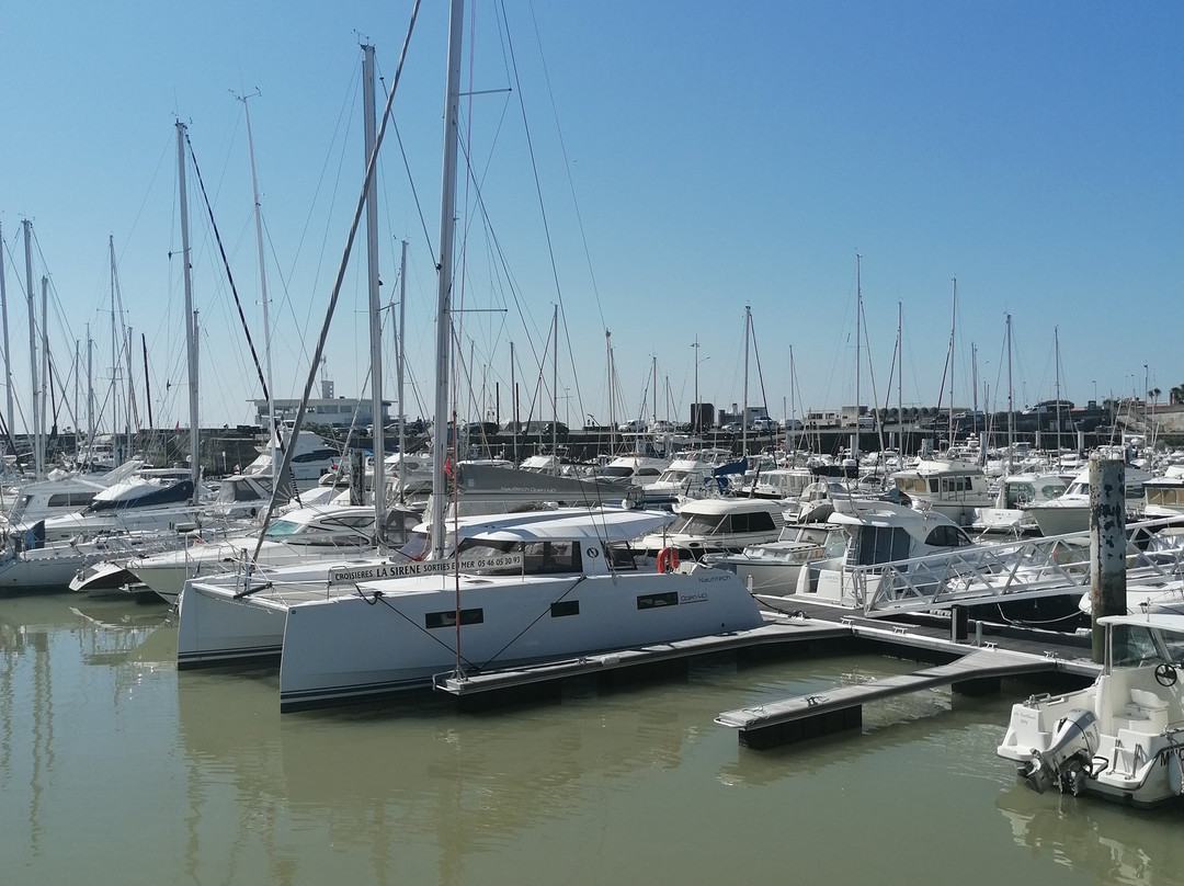 Le Petit Radieux主图