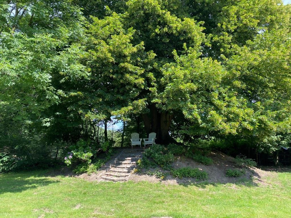 Jagdschloss Habichtswald主图