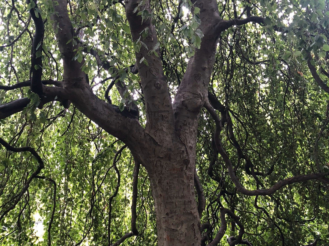 Cantigny-Wheaton必去景点