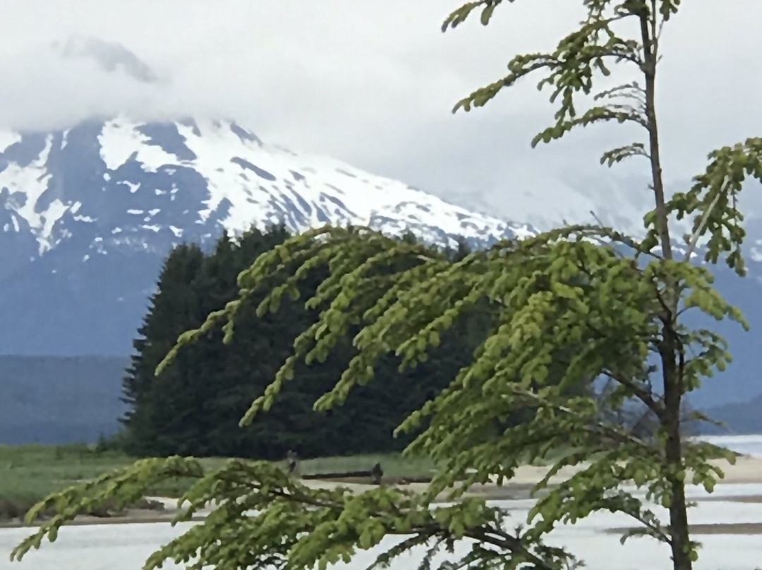 Eagle Beach-朱诺必去景点
