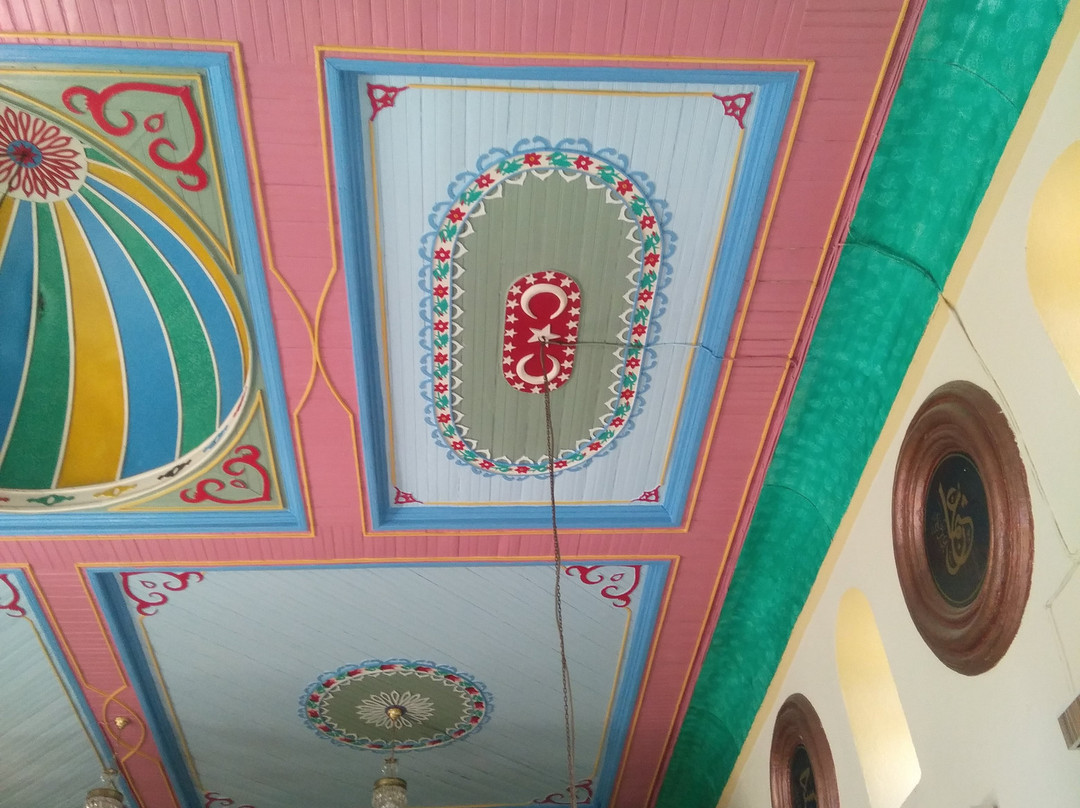 Bozalan Köyü Camii景点图片