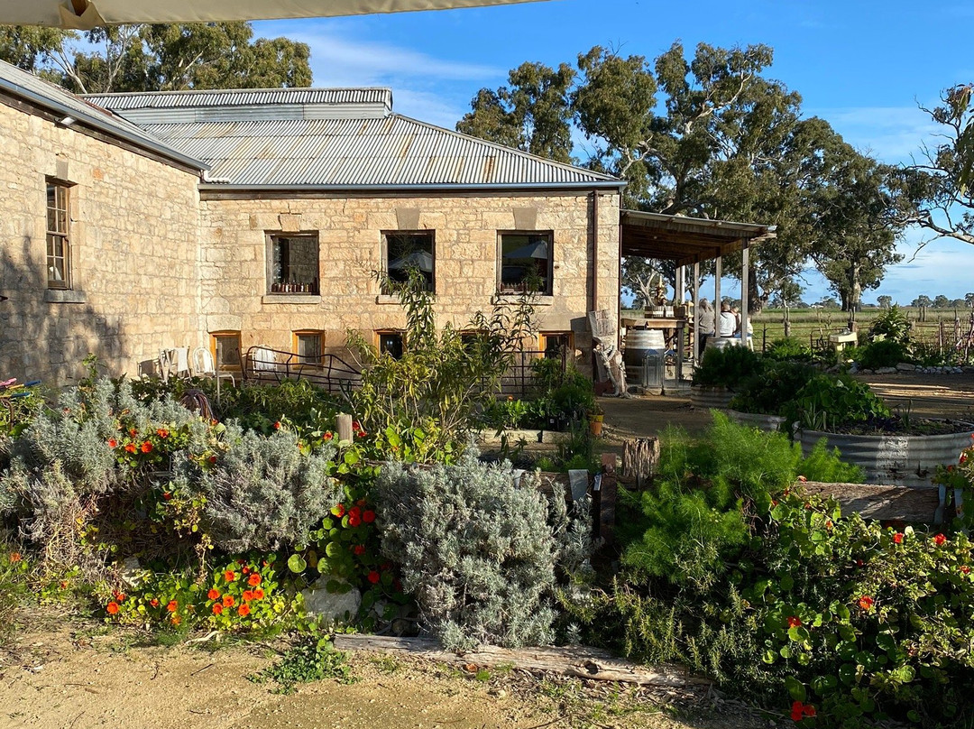 Bellwether-Coonawarra必去景点