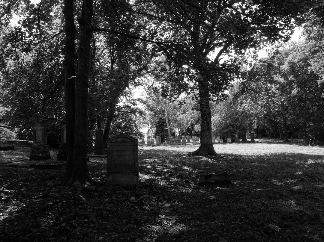 Judischer Friedhof auf dem Domberg-巴特索本海姆必去景点