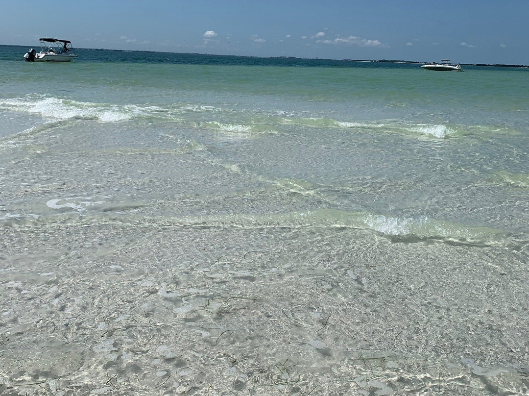 Seal in the Sun Charters-Holiday必去景点