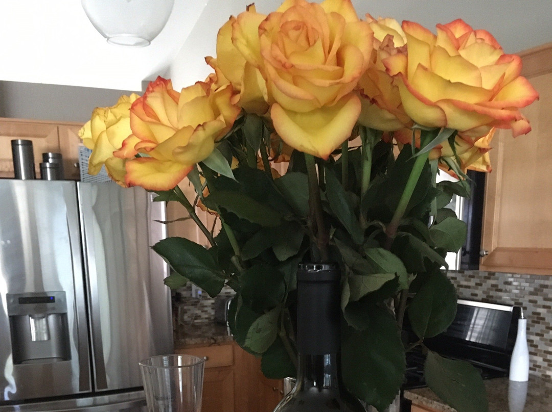 Brian Arden Winery-卡利斯托加必去景点