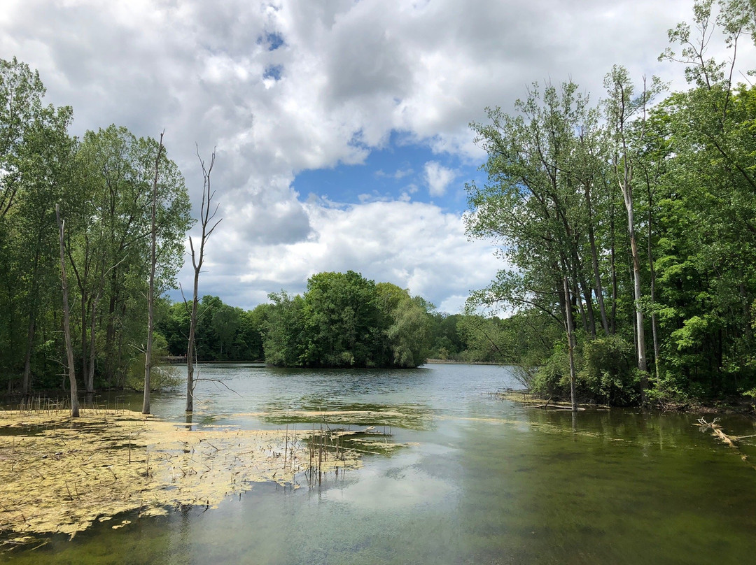 Maybury State Park景点图片