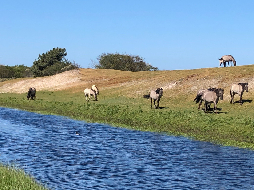 Natuurgebied Oranjezon-Vrouwenpolder必去景点