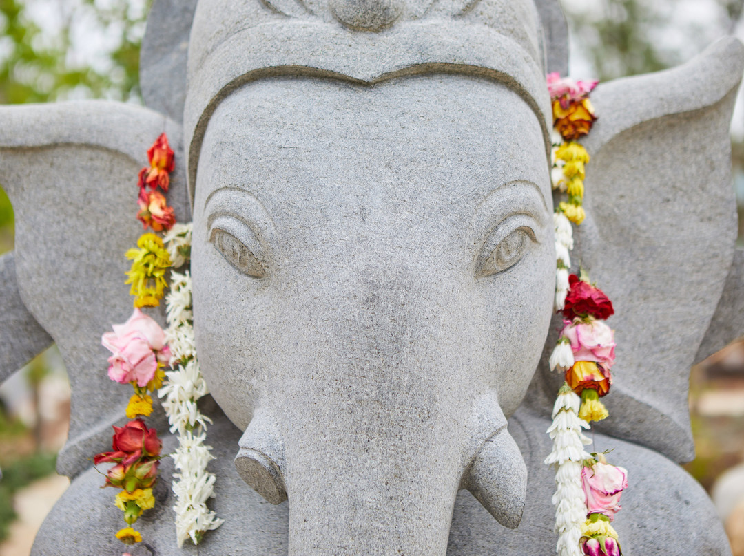 True Nature Healing Arts-卡本代尔必去景点