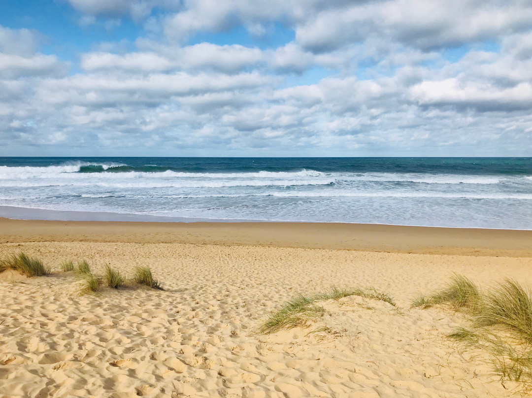 Stockyard Hill Surf Beach景点图片