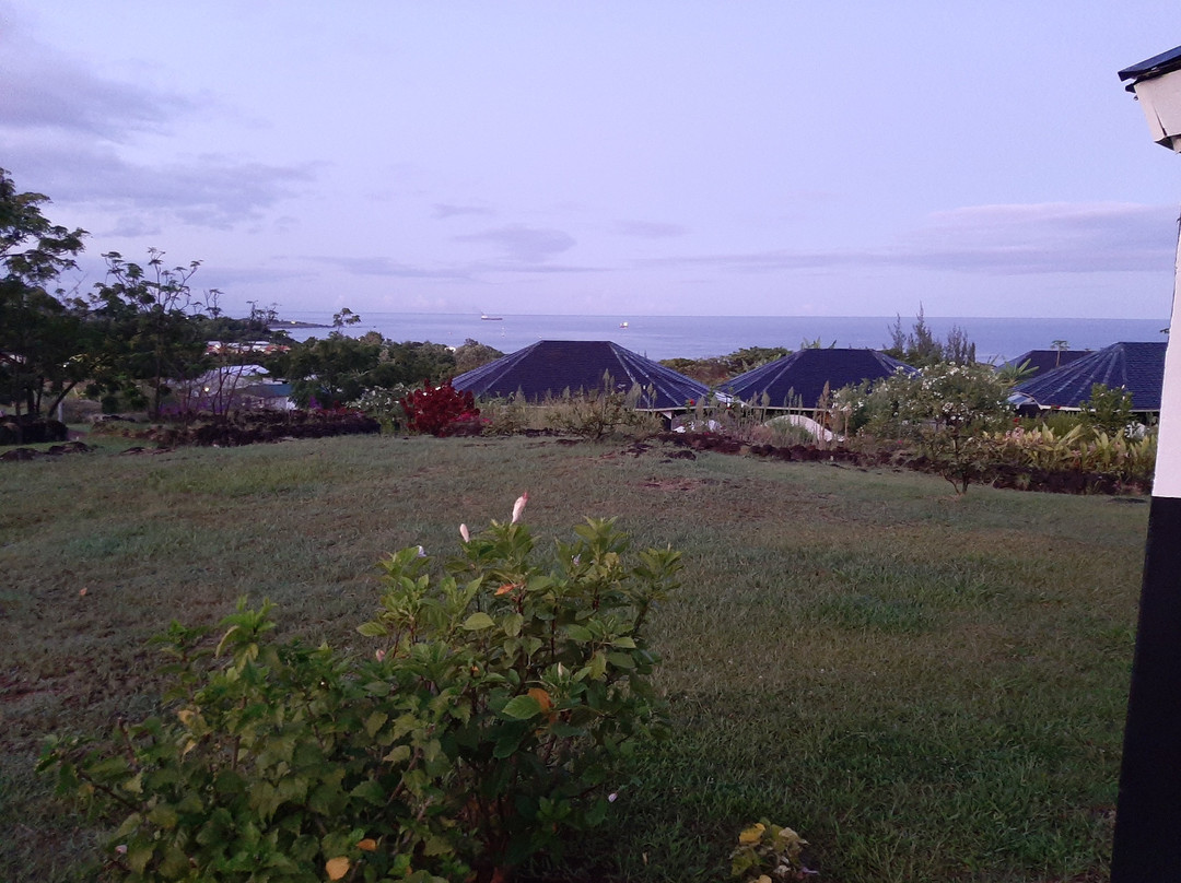 Altiplanico Rapa Nui主图